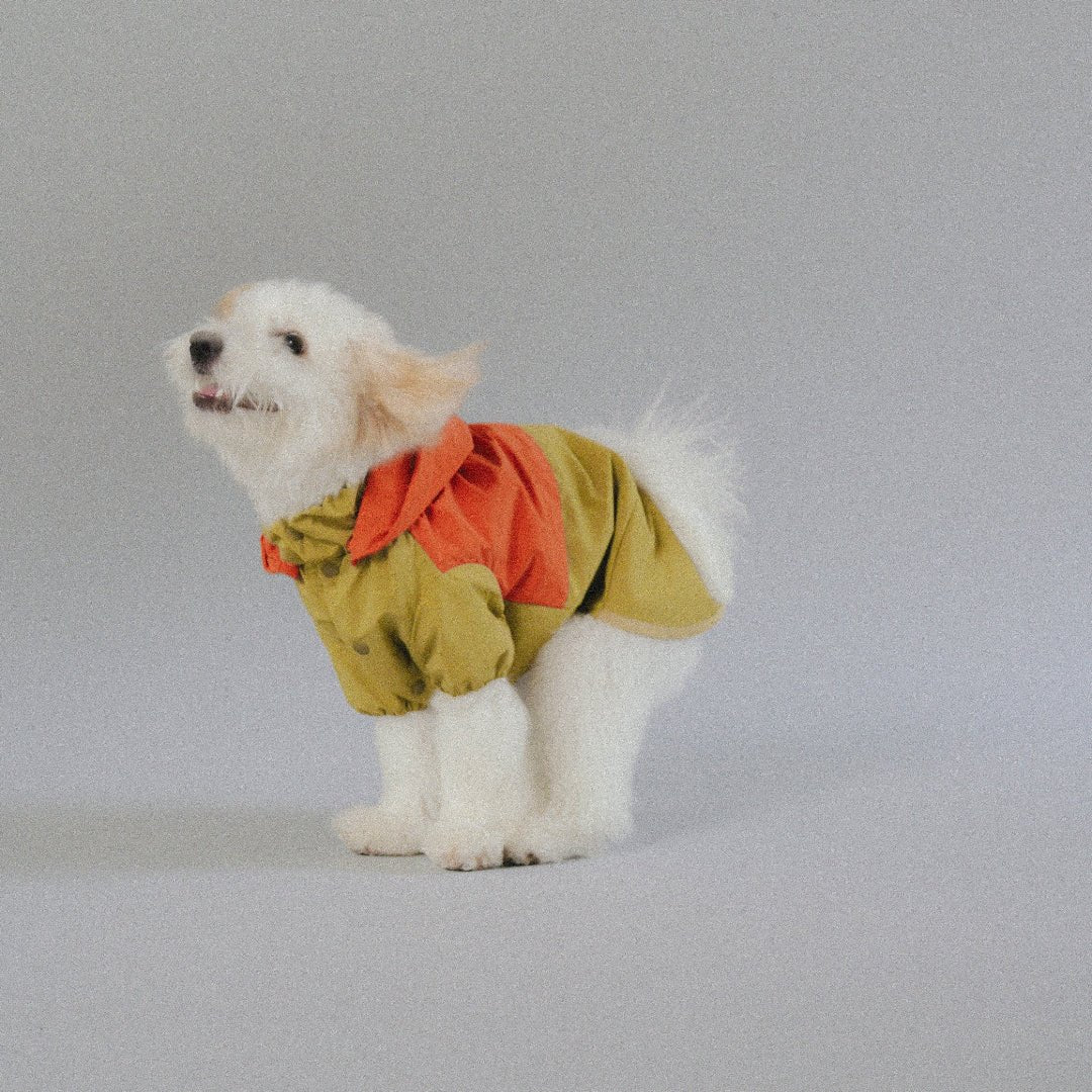 CushyCushy All - weather - koiran sadetakki, oranssi