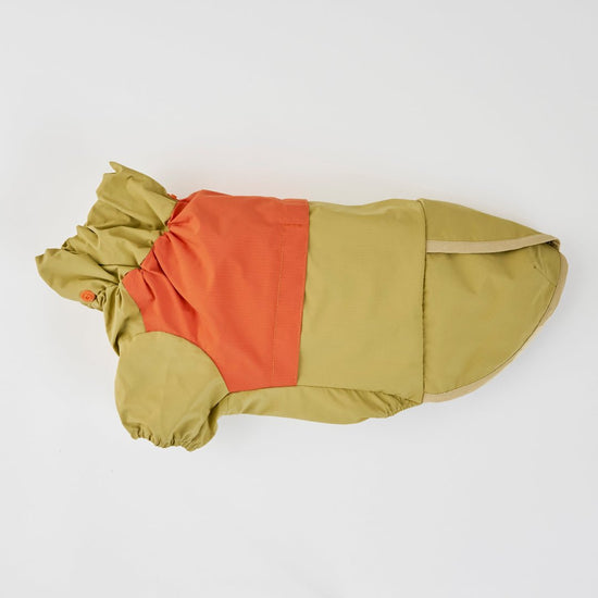 CushyCushy All - weather - koiran sadetakki, oranssi