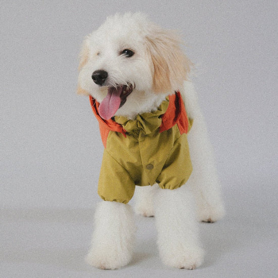 CushyCushy All - weather - koiran sadetakki, oranssi