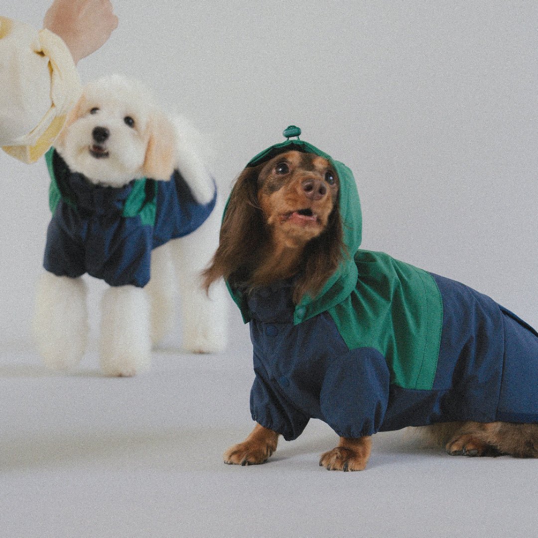 CushyCushy All - weather - koiran sadetakki, sinivihreä