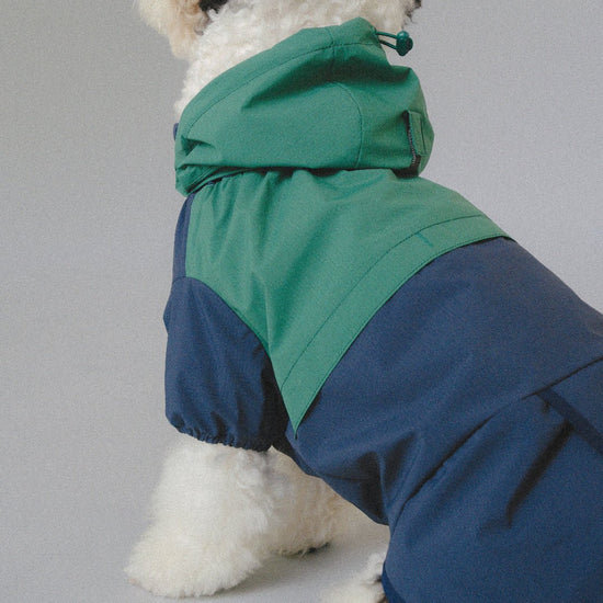 CushyCushy All - weather - koiran sadetakki, sinivihreä