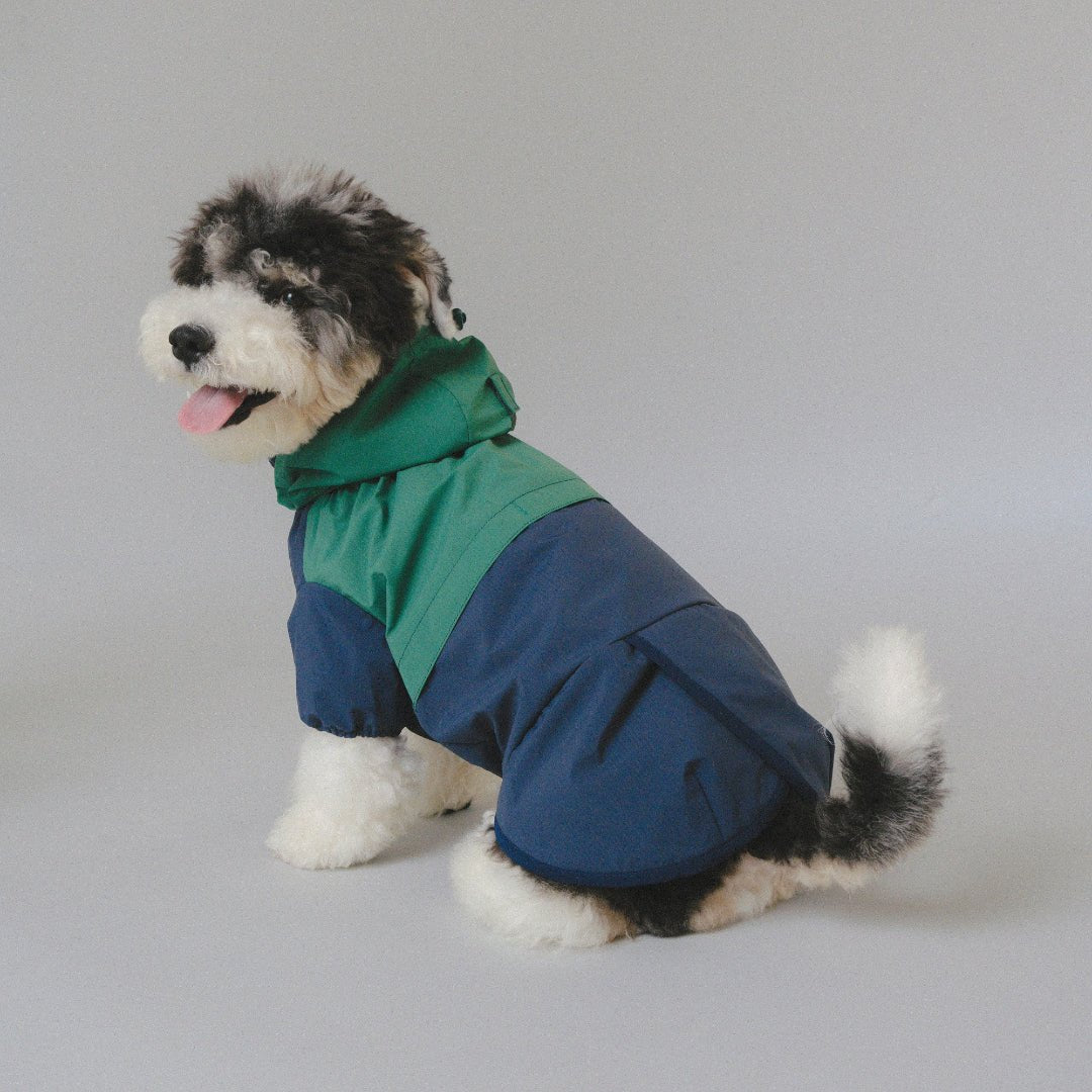 CushyCushy All - weather - koiran sadetakki, sinivihreä