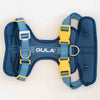 Dog harness, blue & yellow