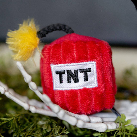 Kitty-Boom -kissanminttulelusetti