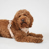 Elma dog harness, light rose
