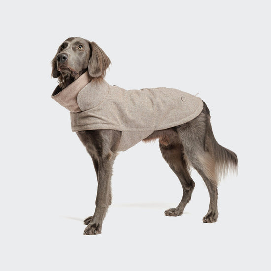 CLOUD7 Brooklyn - koiran talvitakki, tweed beige