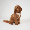 Elma dog harness, light rose