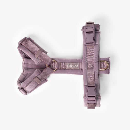 Padded Harness, Lilac
