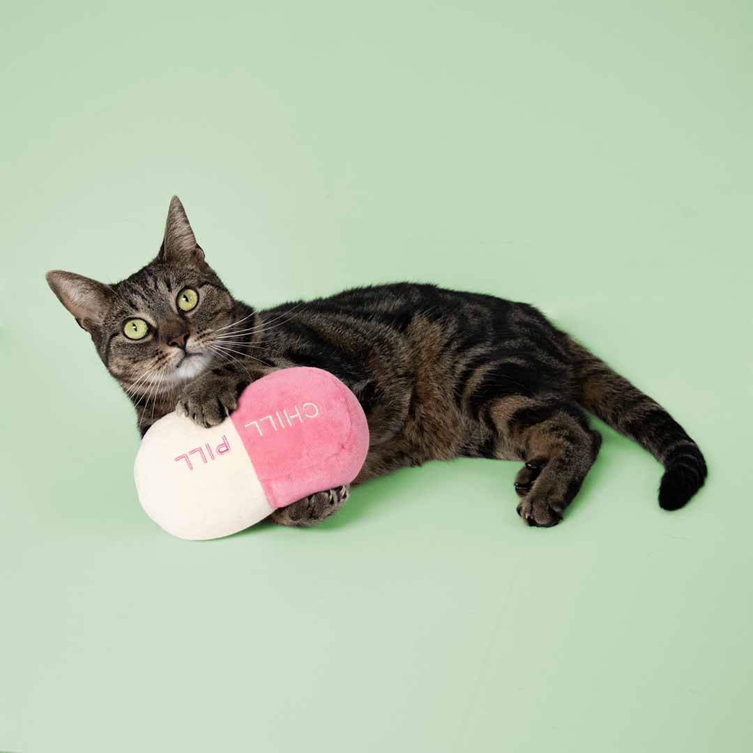Cat toys