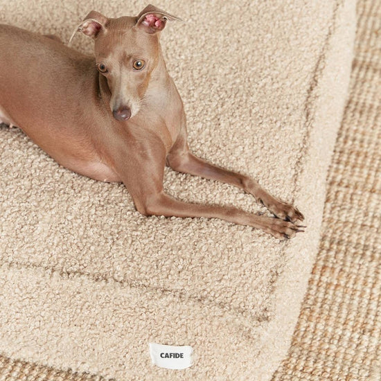 CAFIDE Cuadra - koiranpeti, beige