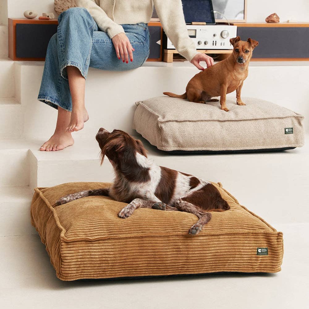 CAFIDE Cuadra - koiranpeti, sinappi