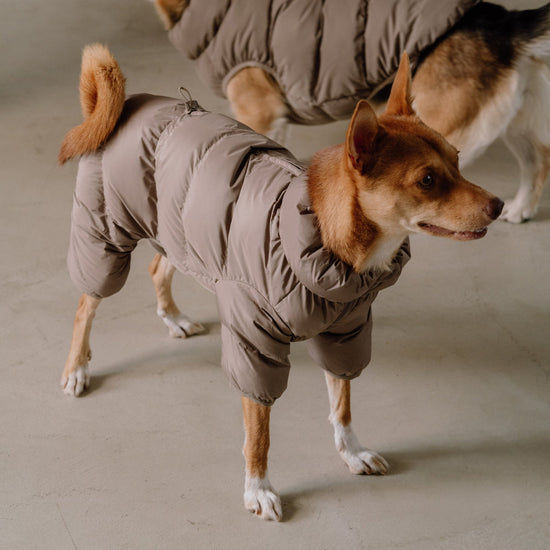 CushyCushy Cushy Puffer haalari, kahvi