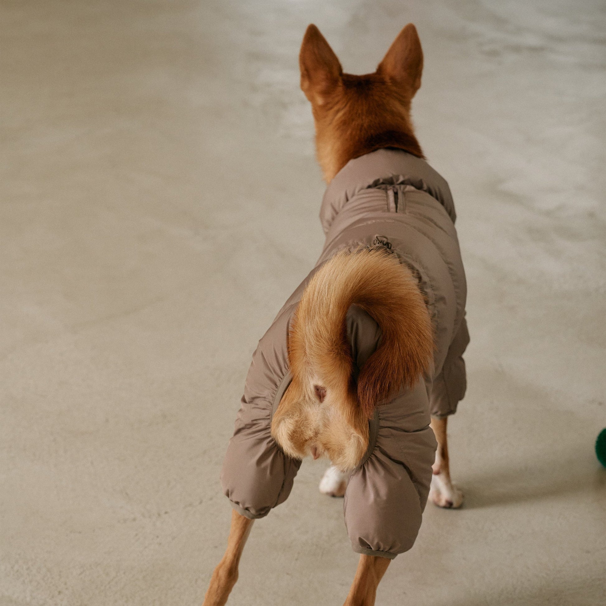 CushyCushy Cushy Puffer haalari, kahvi