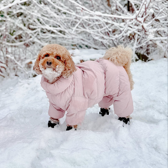 CushyCushy Cushy Puffer haalari, vaaleanpunainen
