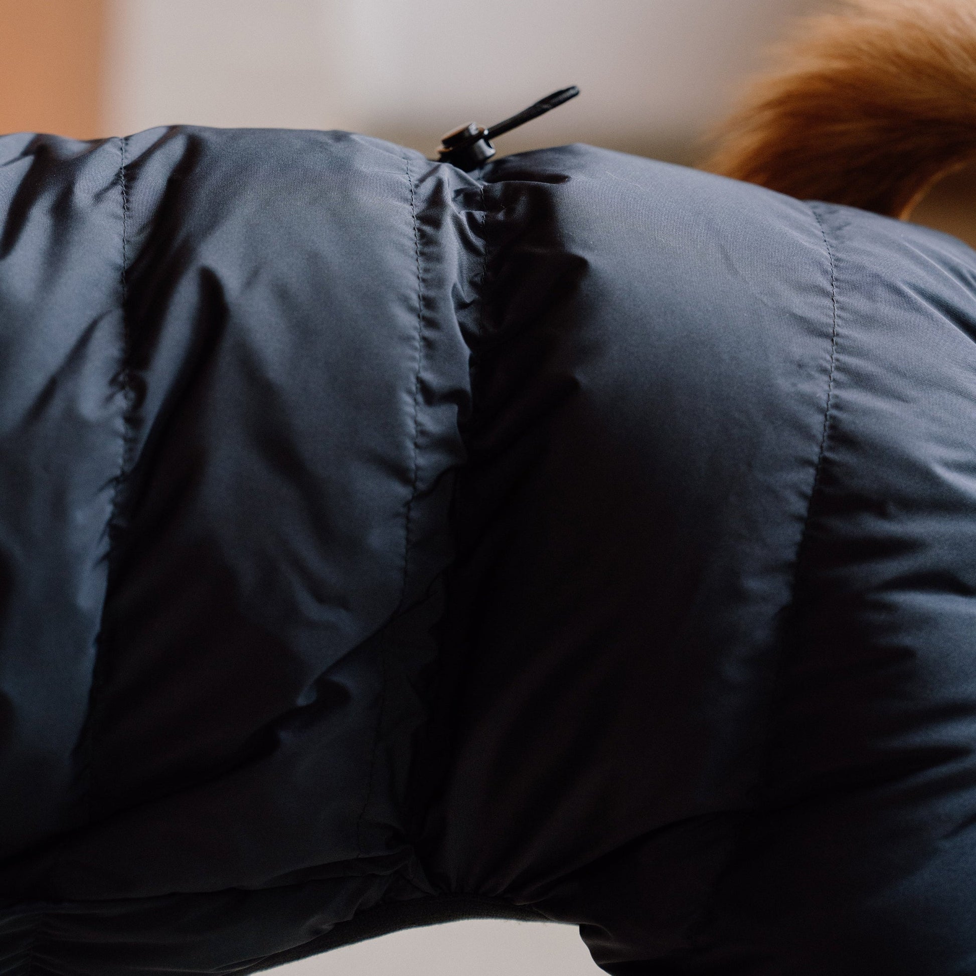 CushyCushy Cushy Puffer haalari, yönsininen