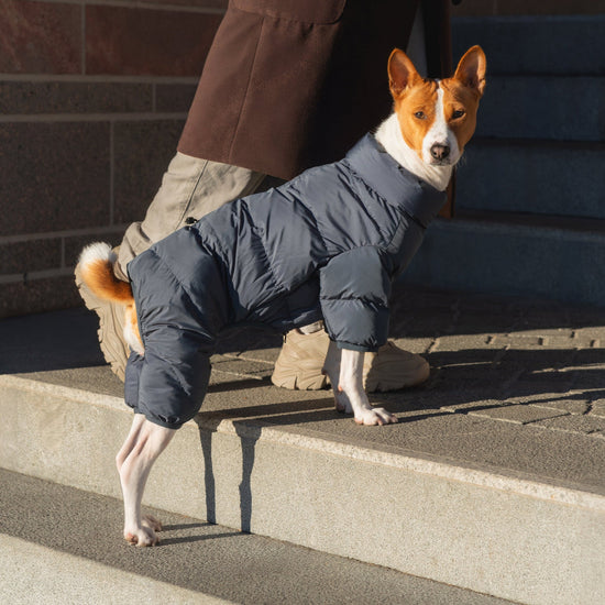 CushyCushy Cushy Puffer haalari, yönsininen