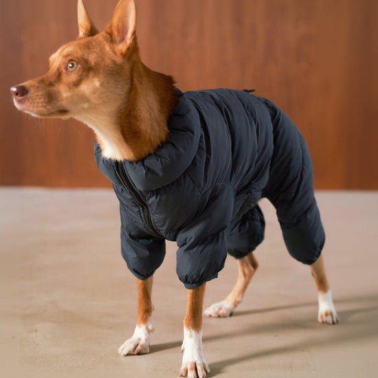 CushyCushy Cushy Puffer haalari, yönsininen