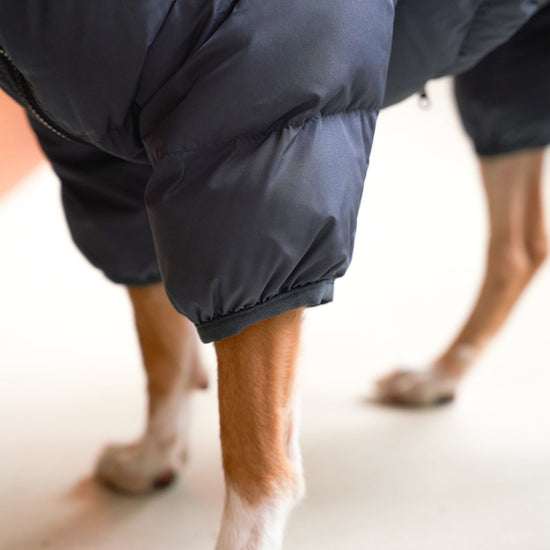 CushyCushy Cushy Puffer haalari, yönsininen