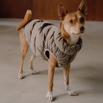 CushyCushy Cushy Puffer liivi, kahvi