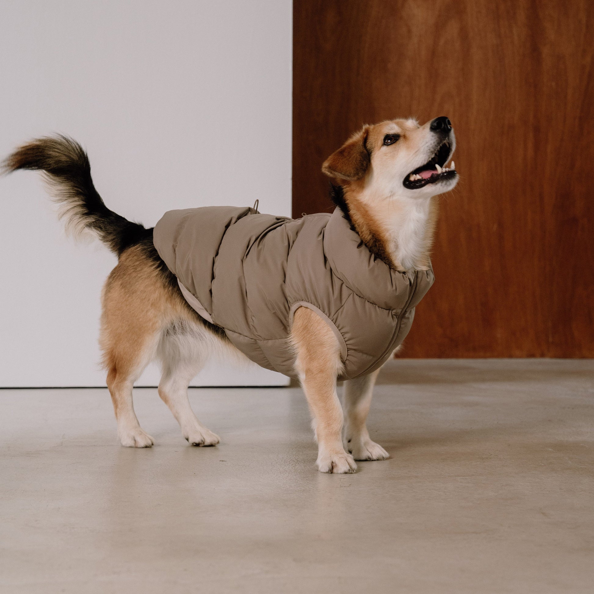 CushyCushy Cushy Puffer liivi, kahvi