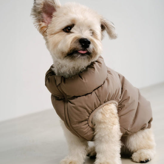 CushyCushy Cushy Puffer liivi, kahvi