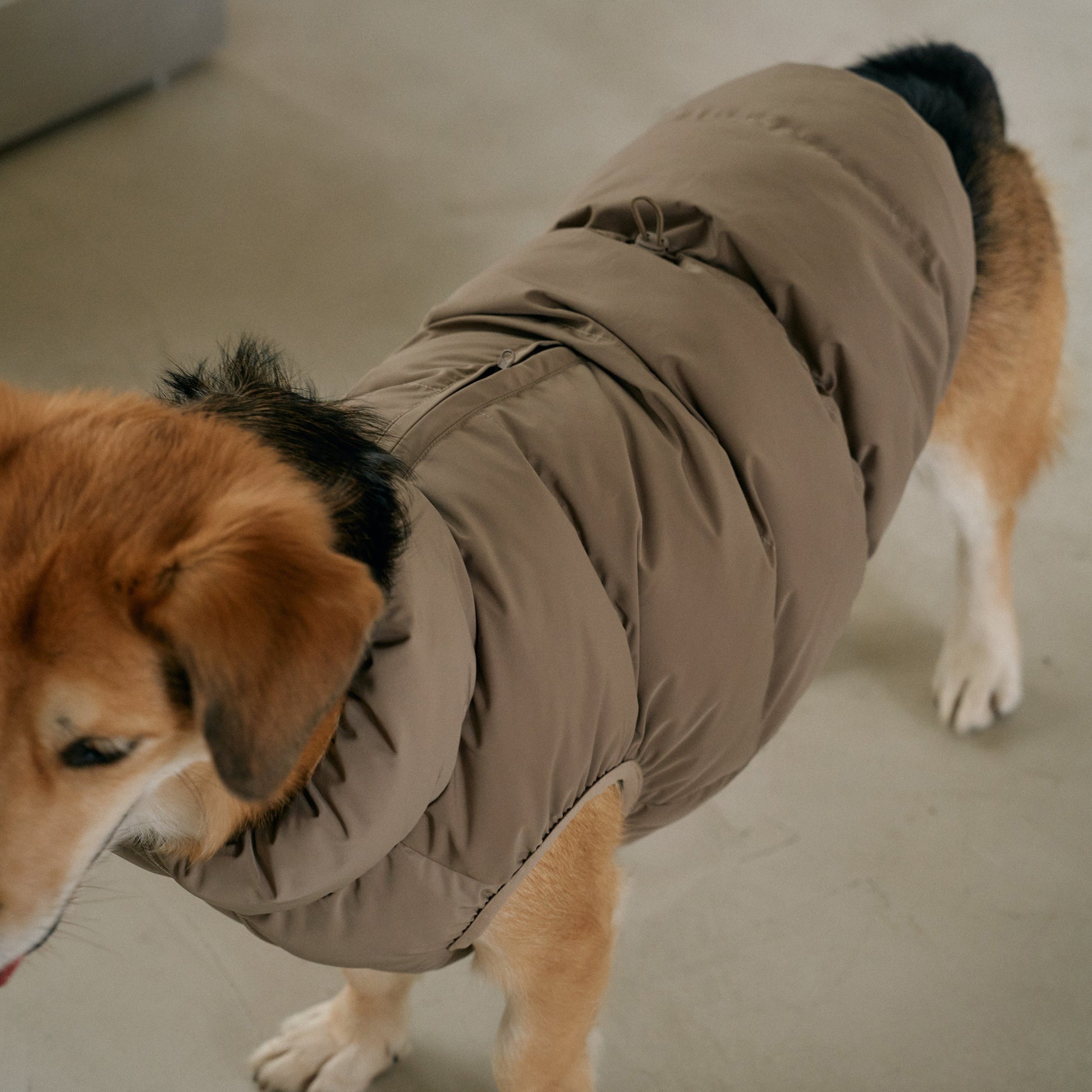 CushyCushy Cushy Puffer liivi, kahvi