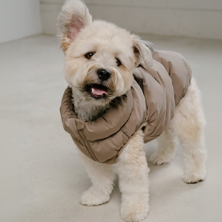 CushyCushy Cushy Puffer liivi, kahvi