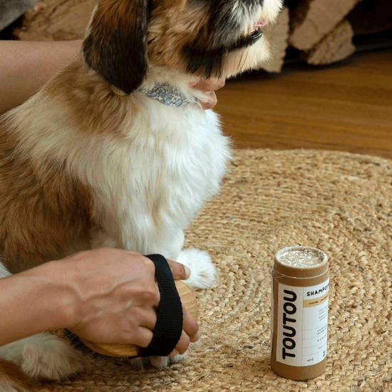 Lemmikin kuivashampoo