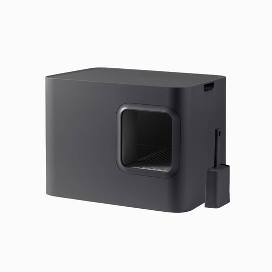 Hoopo Dome - kissanvessa