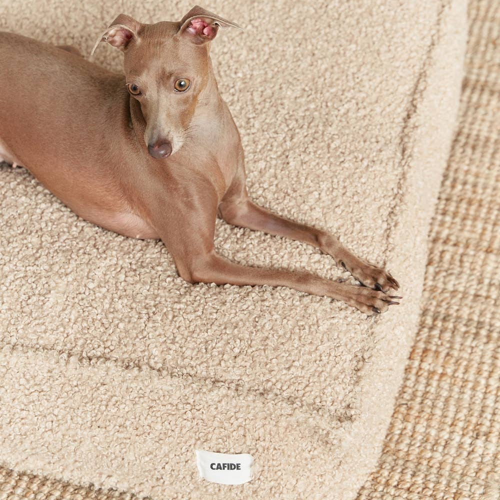 CAFIDE Cuadra-koiranpeti, beige