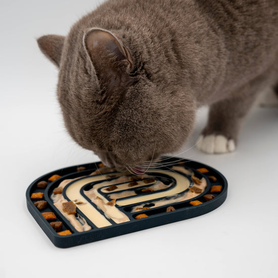 The Catery tyylikäs nuolumatto kissalle, musta ja beige