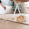 Tail Cat Toy