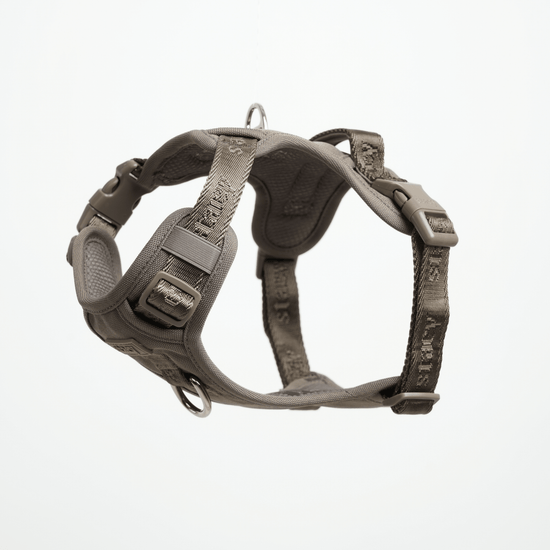 Staey Elma Active - valjaat, taupe
