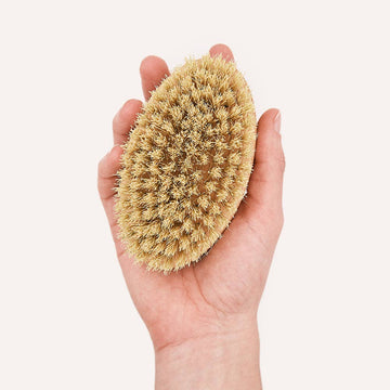 CAFIDE Teo-harja lyhytkarvaiselle koiralle