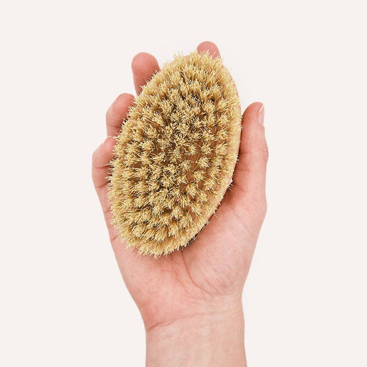 CAFIDE Teo-harja lyhytkarvaiselle koiralle