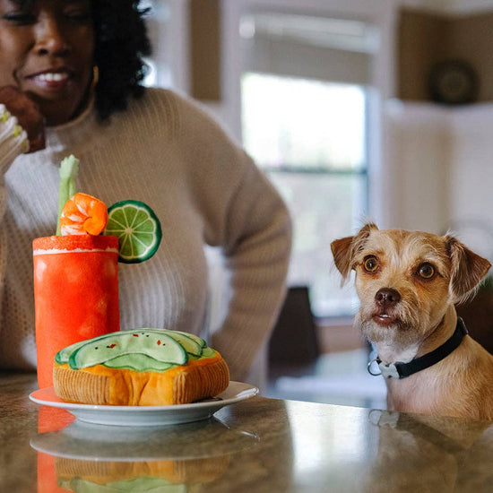 Avo-doggo Toast -koiran lelu