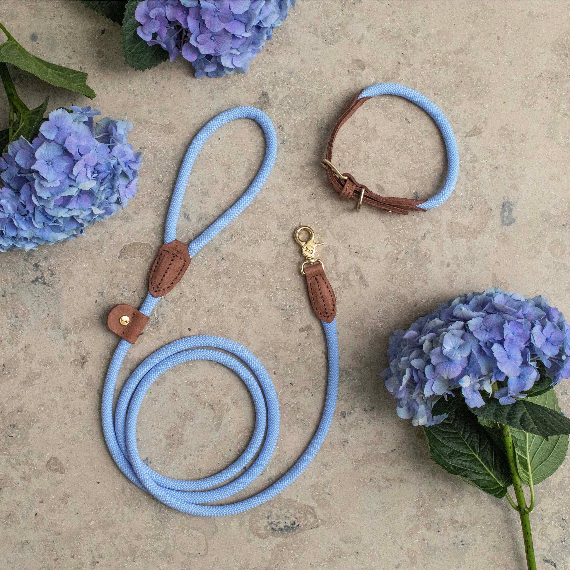 Torekov -koiran hihna, hortensia