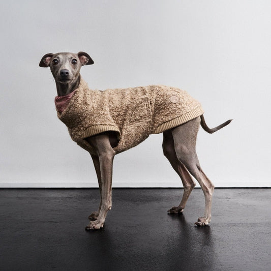 CLOUD7 Gotland - koiran pusero, hiekka