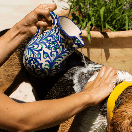 Toutou Petcare Hellävarainen koiran shampoo