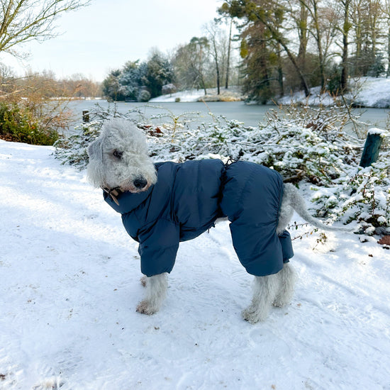 CushyCushy musta koiran puffer haalari