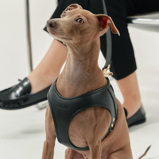 CAFIDE Jala - valjaat, musta