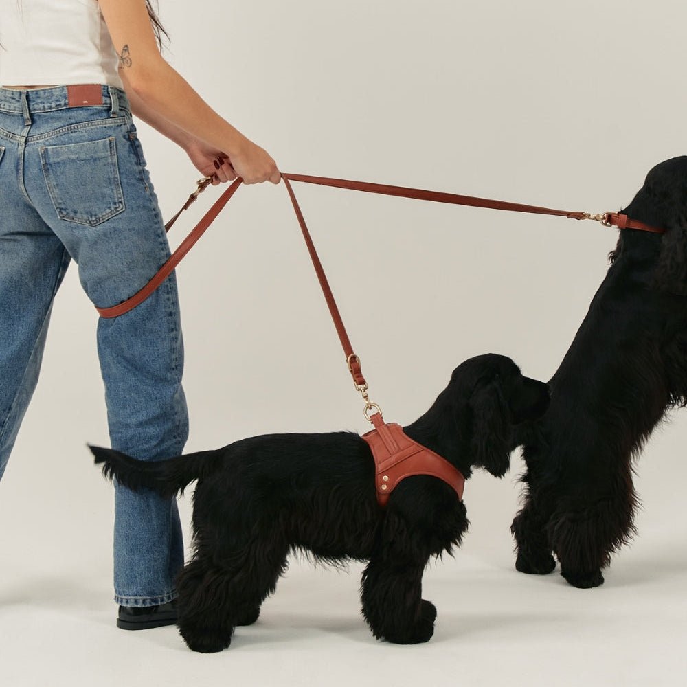 CAFIDE Jala - valjaat, ruskea