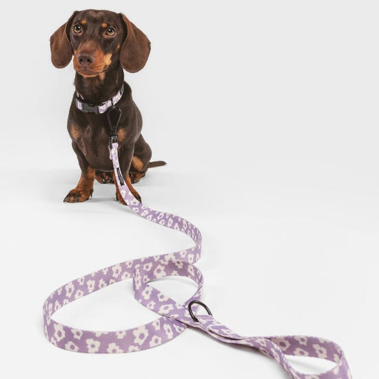 CAFIDE Juno - kierrätetty PET kaulapanta, violetti kukka