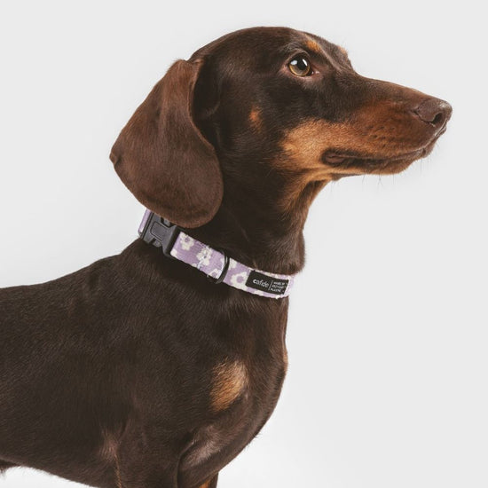 CAFIDE Juno - kierrätetty PET kaulapanta, violetti kukka