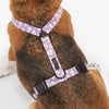 CAFIDE Juno - kierrätetty PET valjaat, violetti kukka