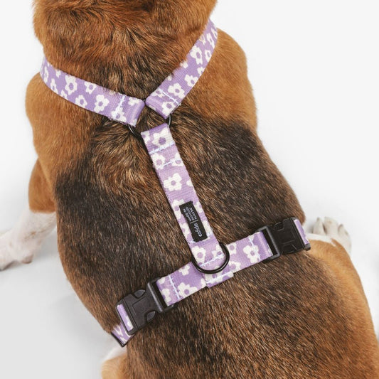 CAFIDE Juno - kierrätetty PET valjaat, violetti kukka