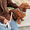 CAFIDE Juno - kierrätetty PET talutin, Beige Line