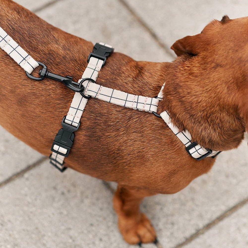 CAFIDE Juno - kierrätetty PET talutin, Beige Line