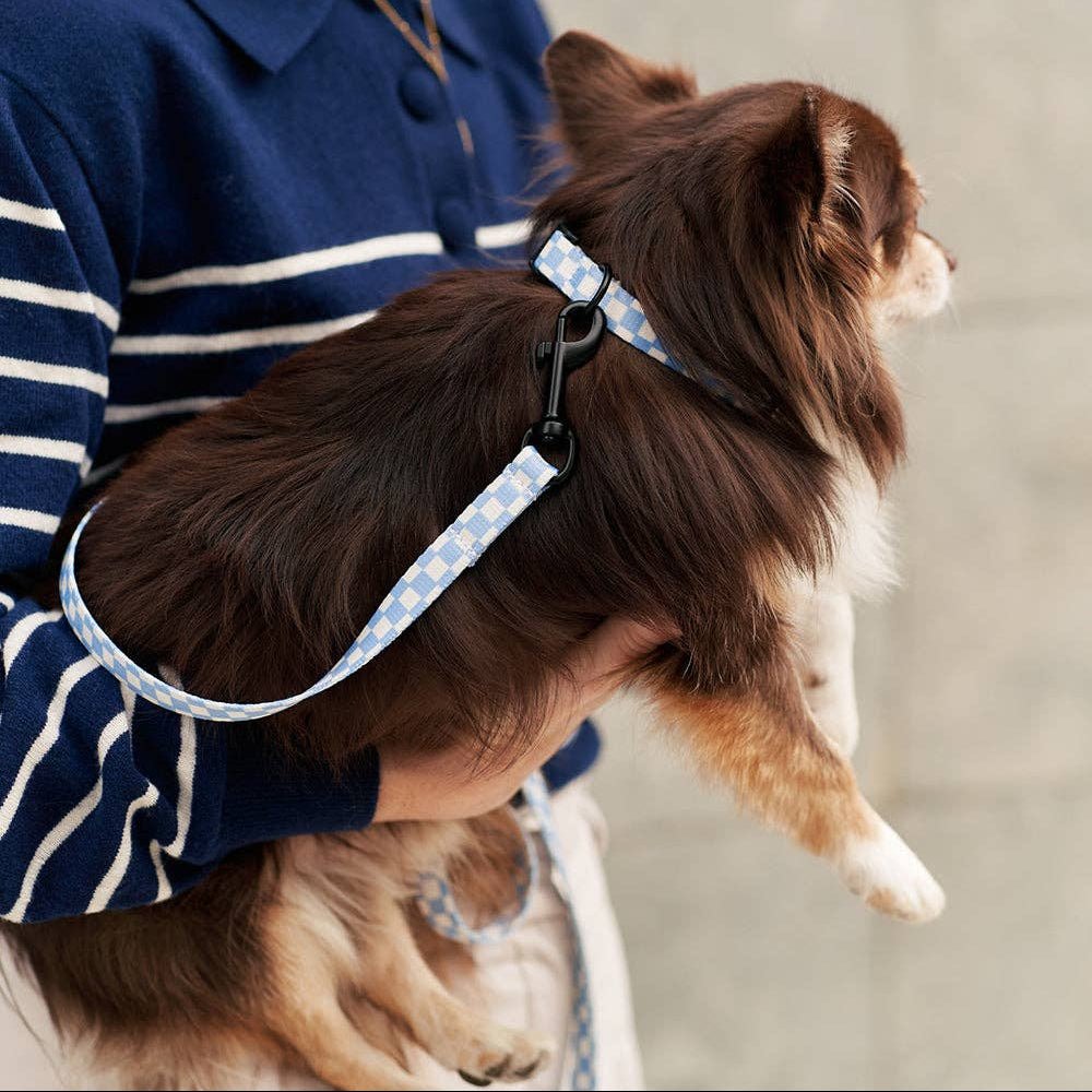 CAFIDE Juno - kierrätetty PET talutin, Vichy Blue
