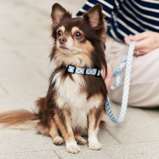 CAFIDE Juno - kierrätetty PET talutin, Vichy Blue